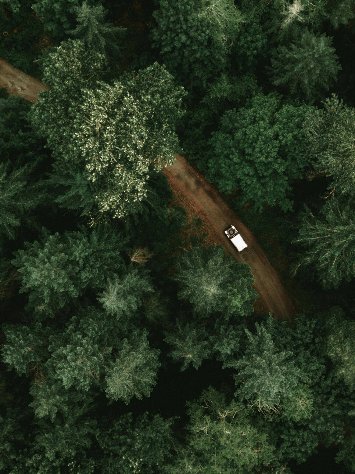 Alon Article | CEO Magazine