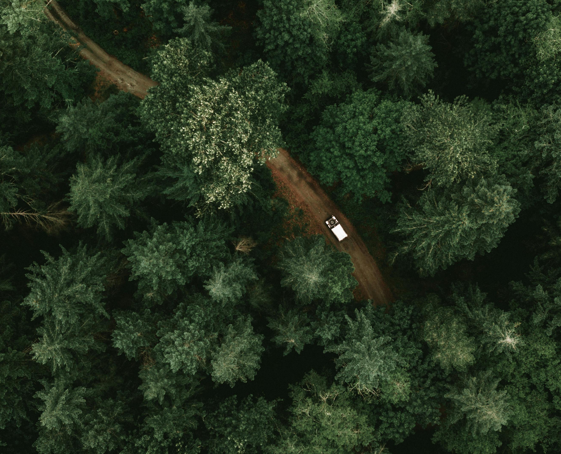 Alon Article | CEO Magazine