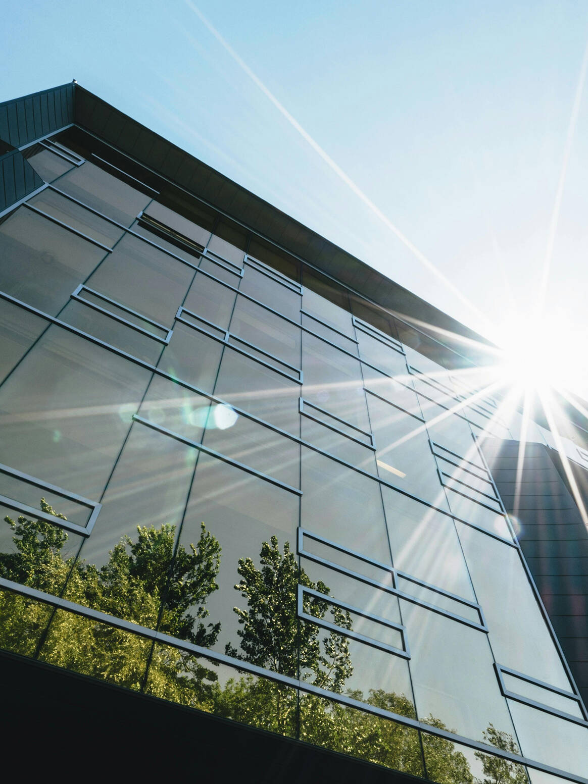 Sustainable Leadership Article | CEO Magazine