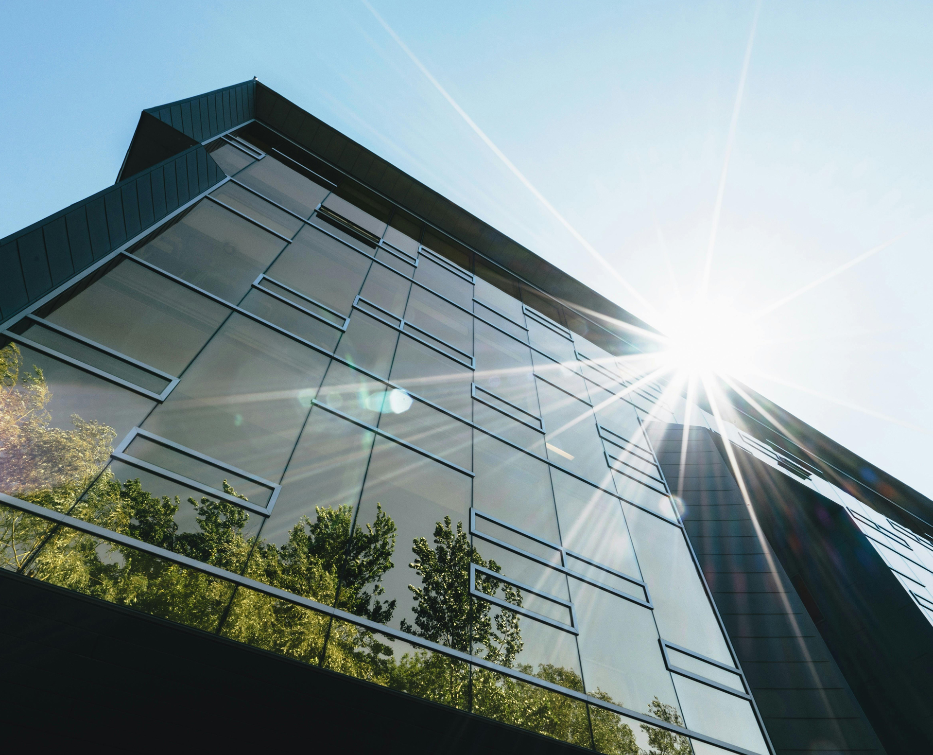 Sustainable Leadership Article | CEO Magazine