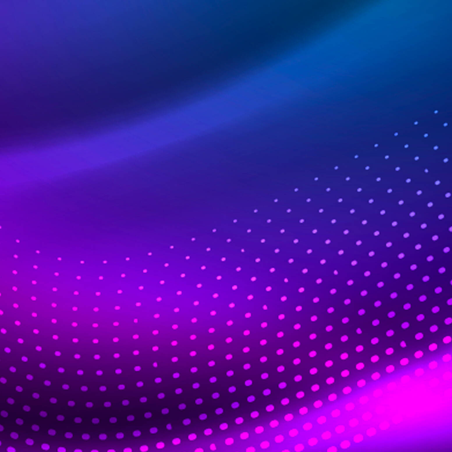 USF Article | CEO Magazine