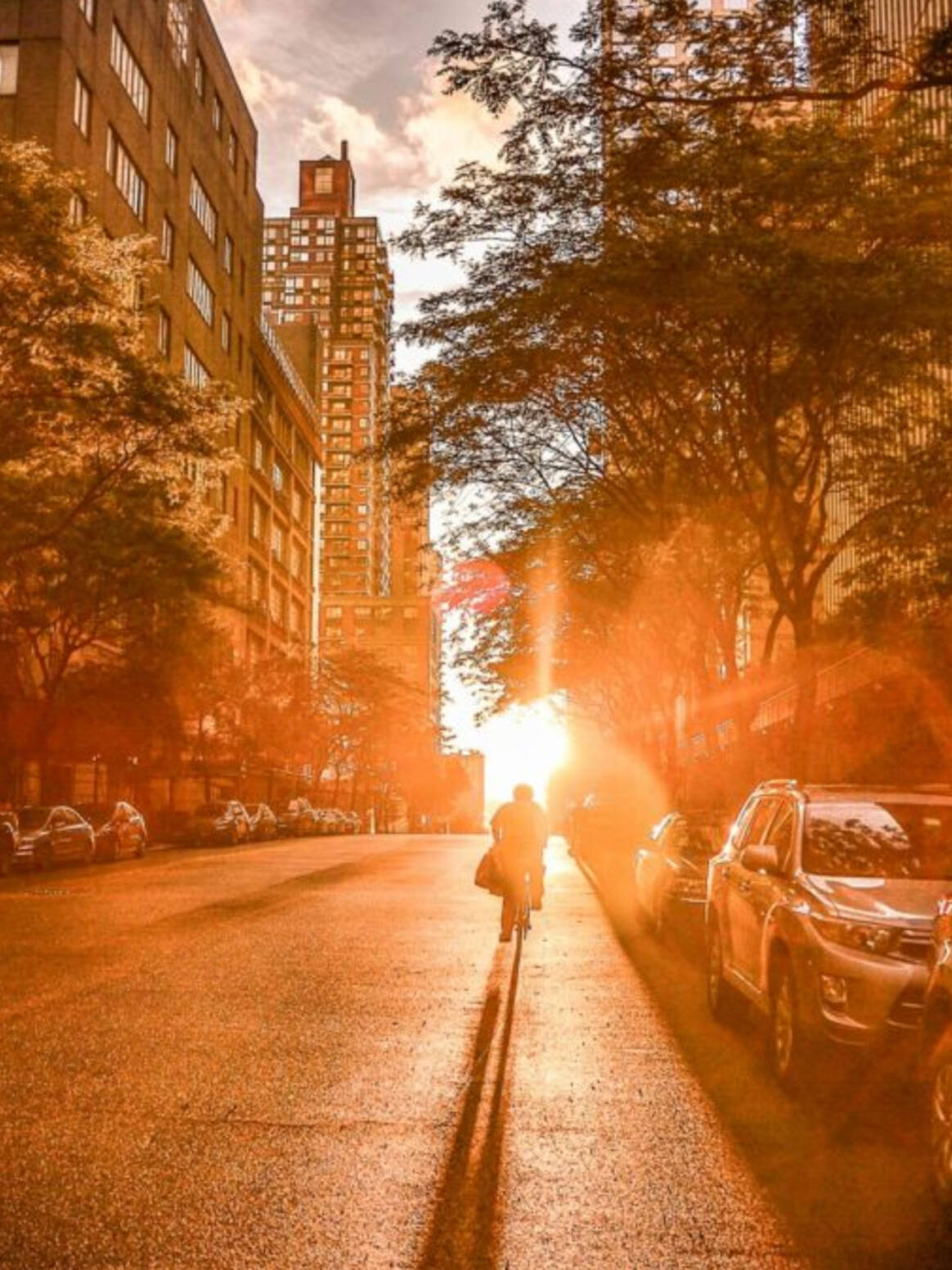 Rutgers Article | CEO Magazine