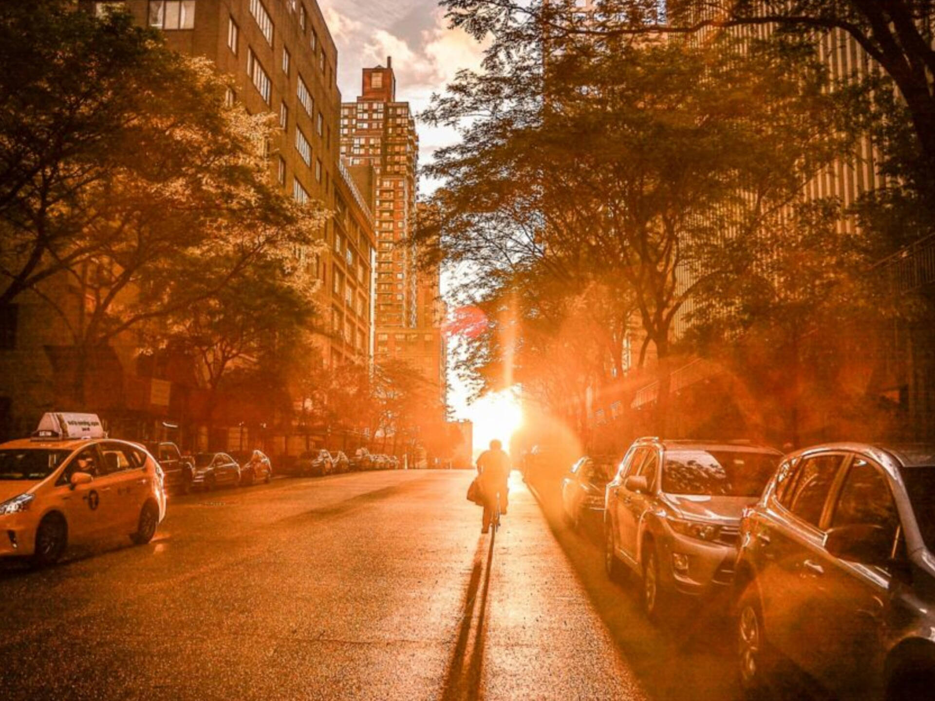 Rutgers Article | CEO Magazine